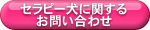 セラピー犬に関するお問い合わせ