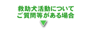 救助犬に関するお問い合わせ